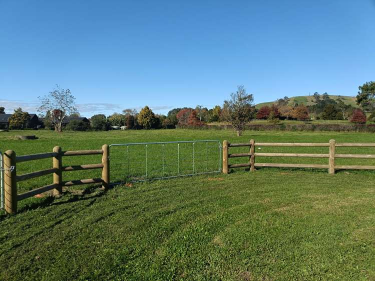 441 Kuranui Road Morrinsville_12