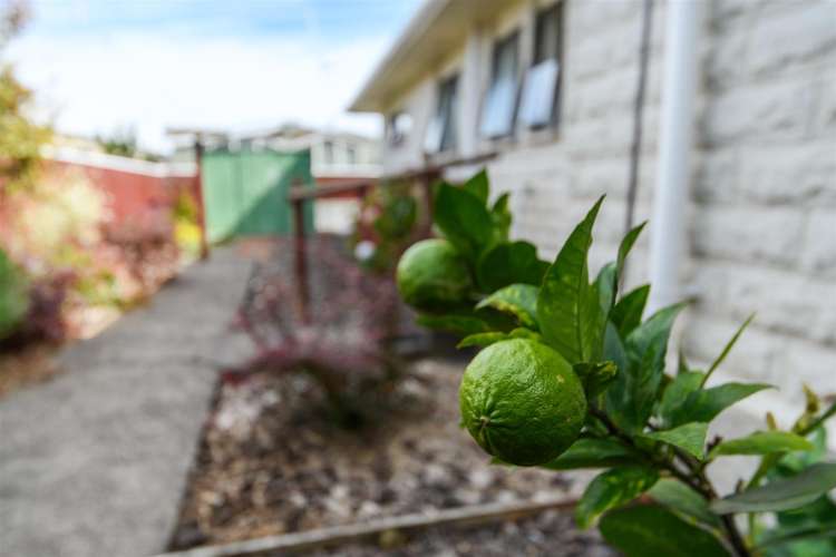 7b Humphrey Street Marton_26