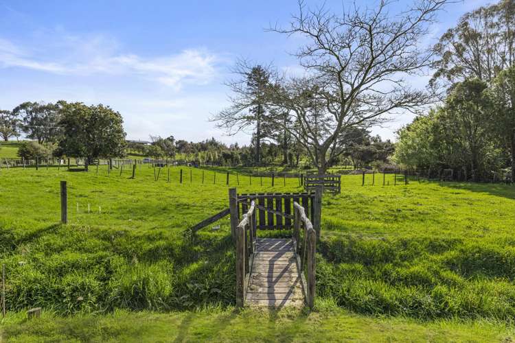 1058 Old Mountain Road Raglan_25