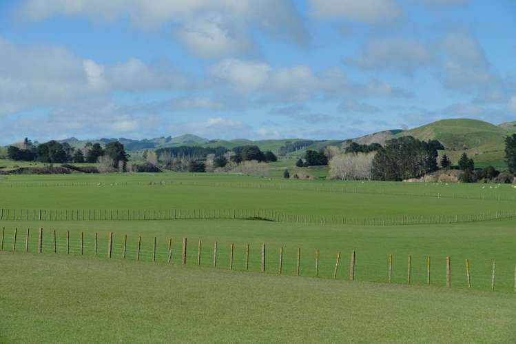 63 Hamilton Road Dannevirke_10