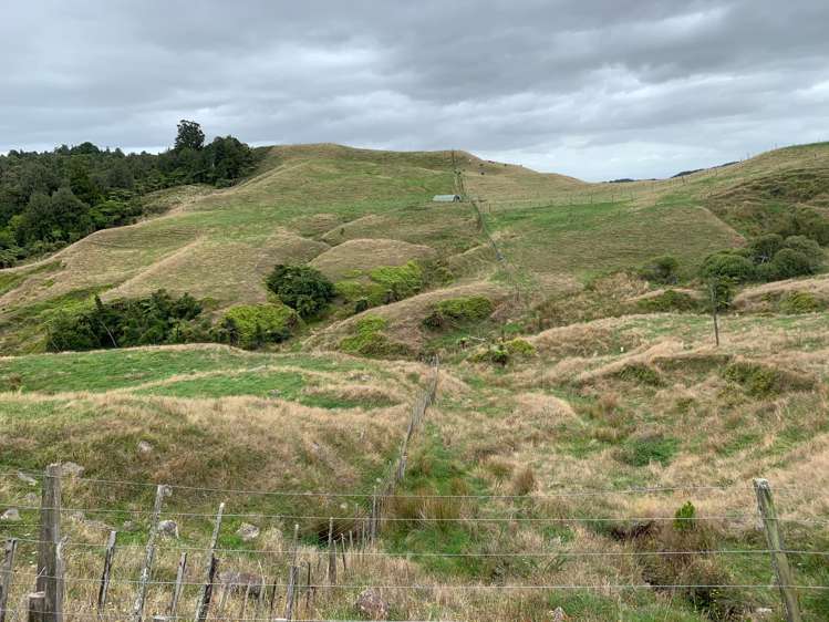 233 Goble Road Paeroa_5