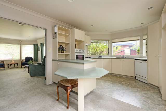 153b Auckland Road Greenmeadows_4