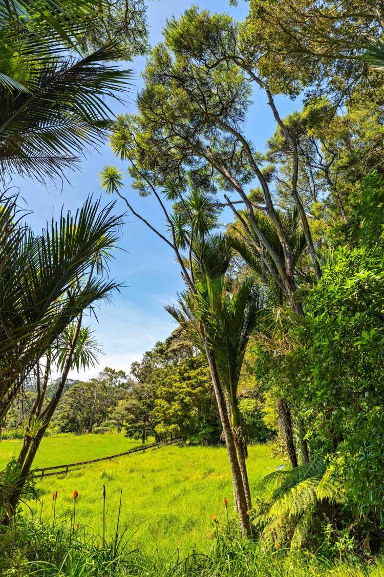 260 School Road Waimauku_31