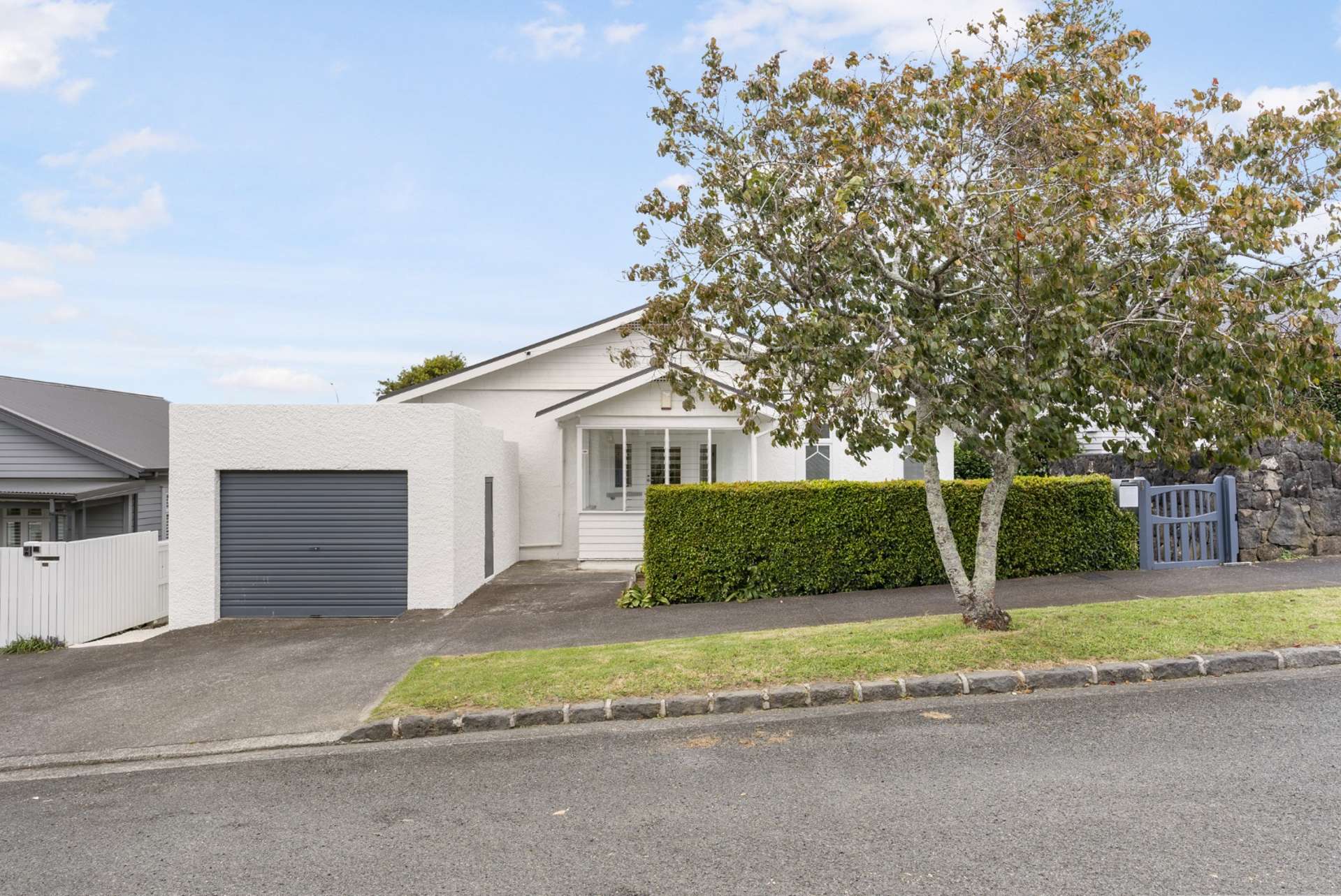 19 Douglas Road Mount Eden_0