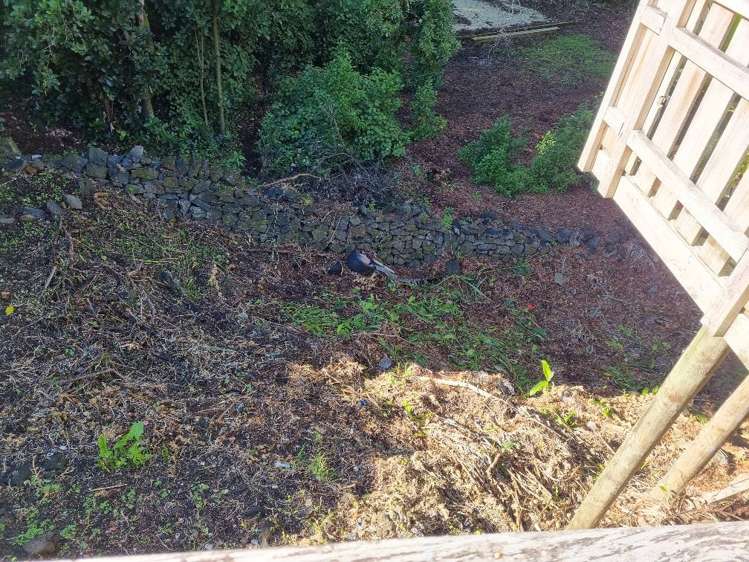 43a Aroha Avenue Sandringham_12