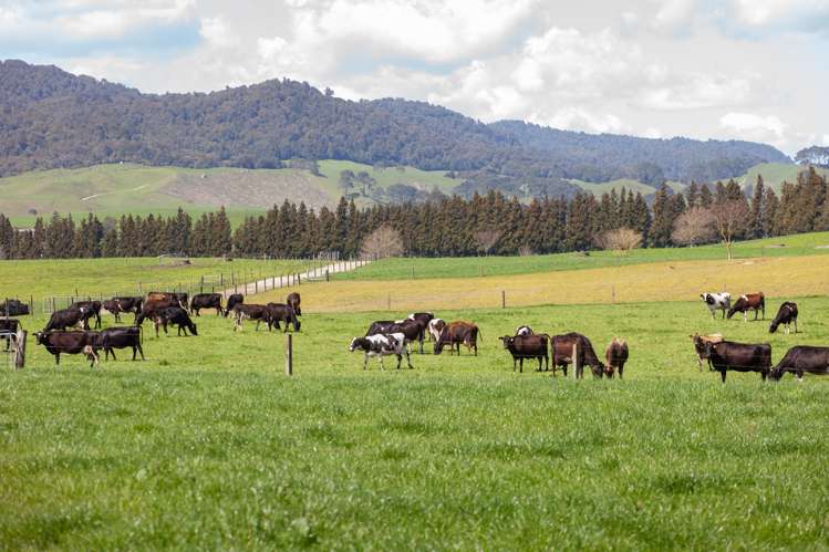 216a Rapurapu Road Te Poi_12