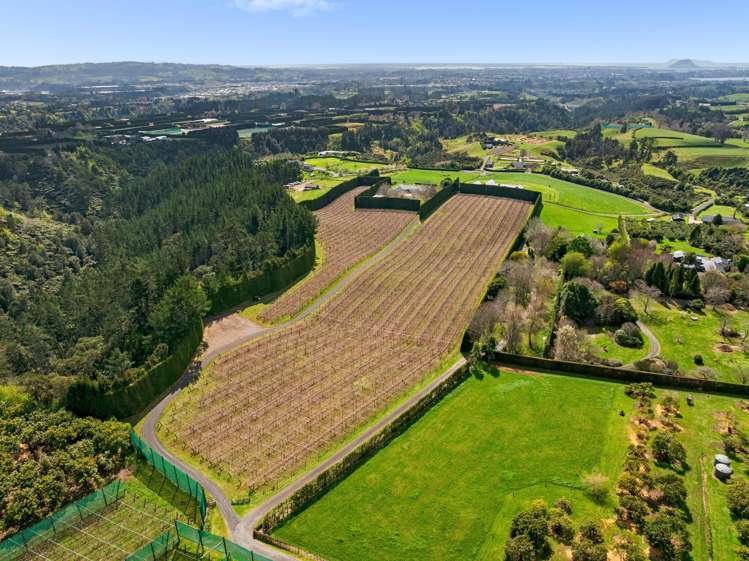 85a Castles Road Oropi_21