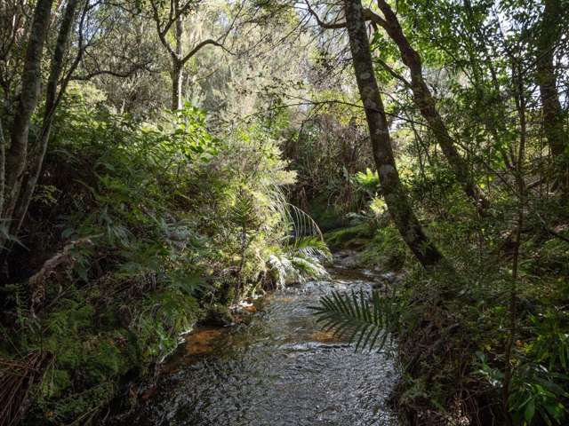 Lot 3/61 Daroux Drive Kerikeri_2