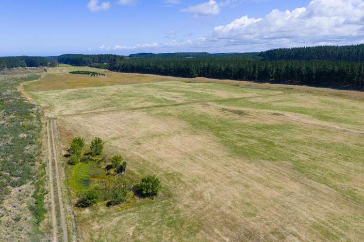 590 Brandon Hall Road Bulls_3