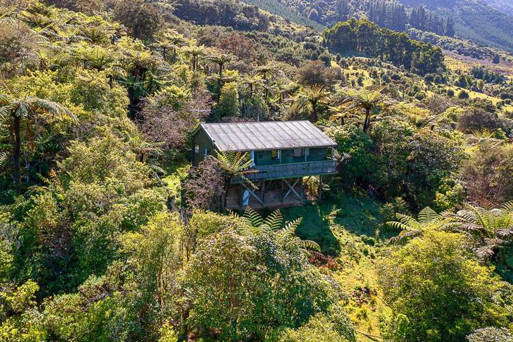 Nikau Bay Kenepuru Sound_19