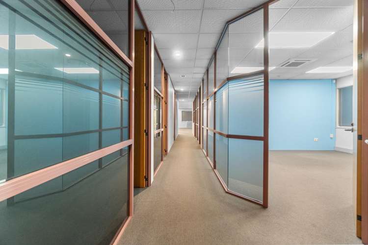 21 Clifton Road Hamilton Central_18