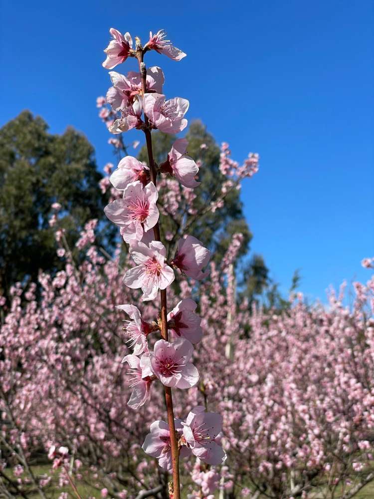 65 Butterfield Road Hawea Flat_21