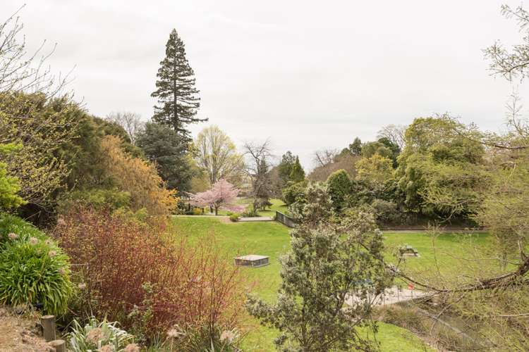 13 Shearer Terrace Richmond_2