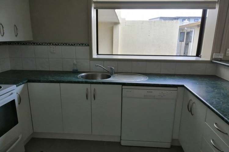 6a Terrace Avenue Mount Maunganui_2