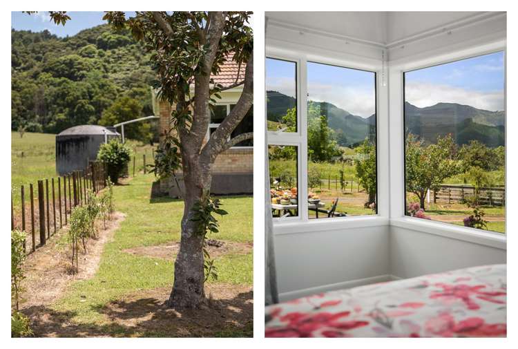 141 Neavesville Road Puriri_12