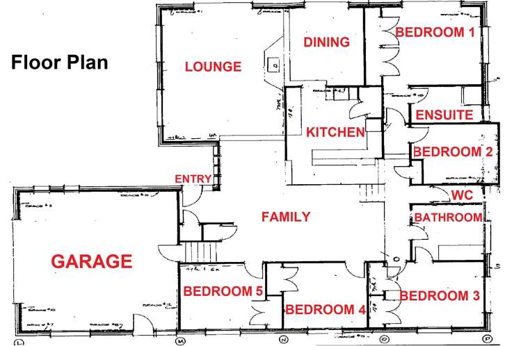 188 Cook Street Howick_15