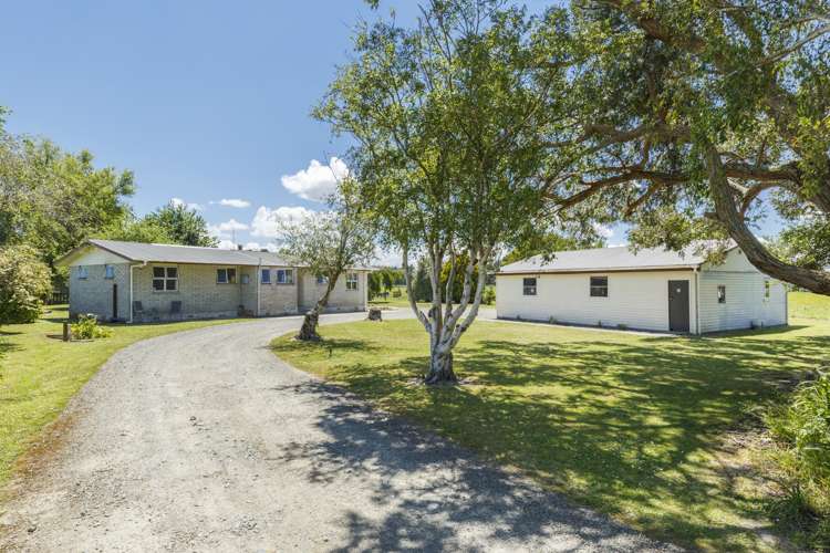 517 Newbury Line Bunnythorpe_23