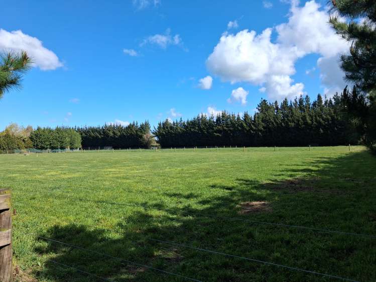 617 McLaughlins Road Darfield_9