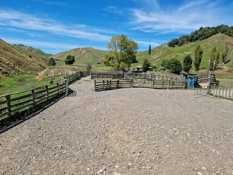 3779 Whanganui River Road (State Highway 43) Ruapehu-King Country Surrounds_20