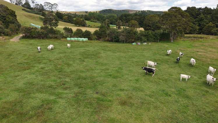 Lot 3/286 Mangakaretu Road Waipapa_14