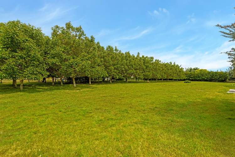 3 River Road Matawhero_28