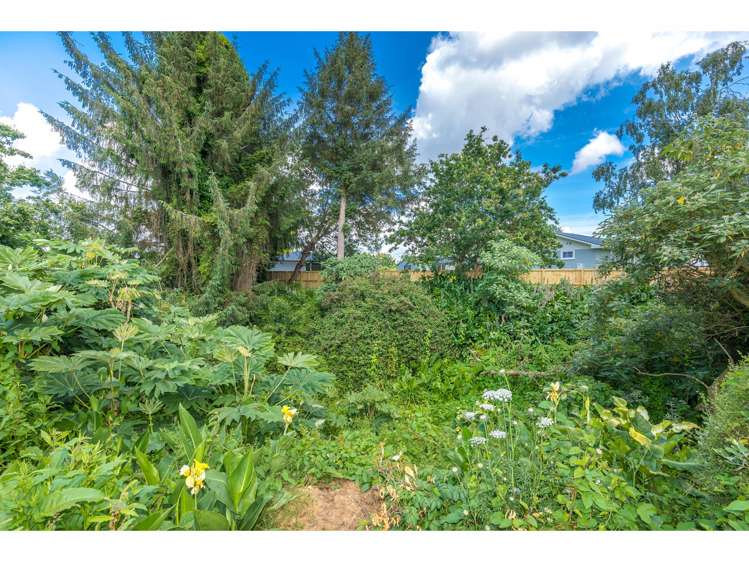 64 Pine Avenue Melville_14