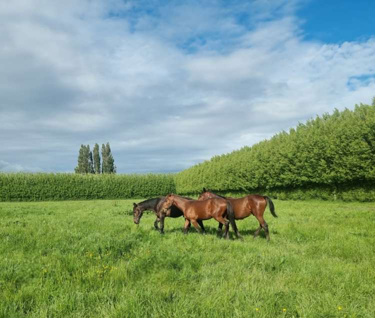 140 Hudsons Road Lincoln_13