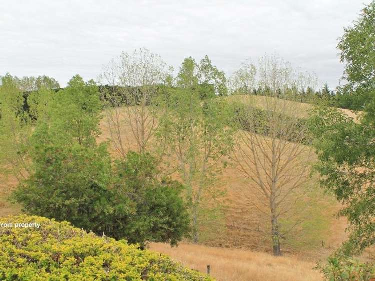 113 Parnassus Road Cheviot_11