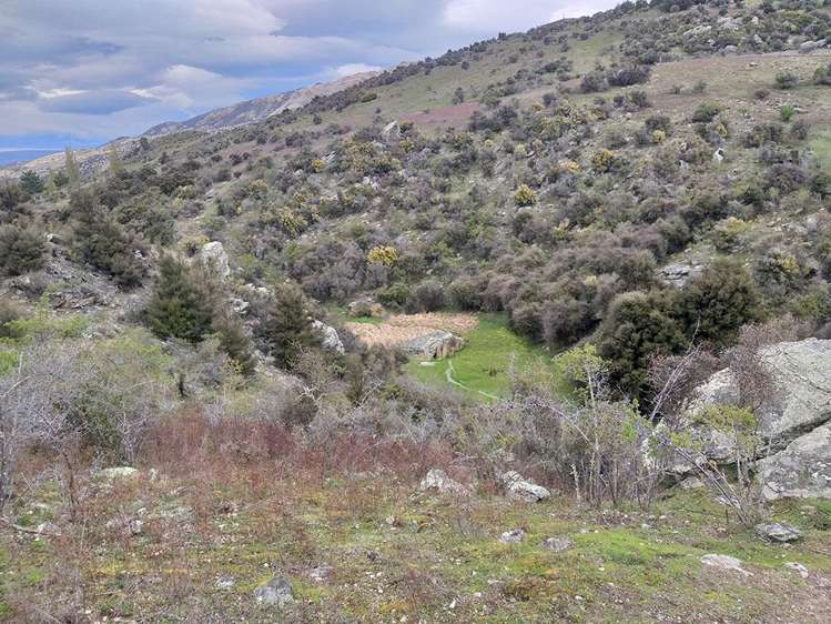 41 Totara Place Queensberry_23