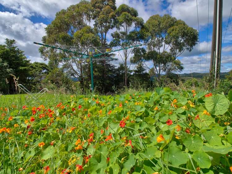 149 Ngunguru Ford Road Kiripaka_15