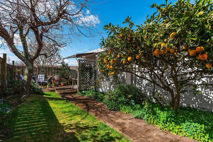 2/8 Kinder Street Acacia Bay_17