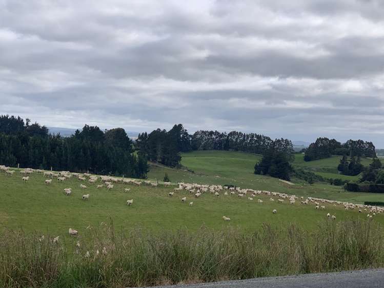 120 Benhar Road Balclutha_14