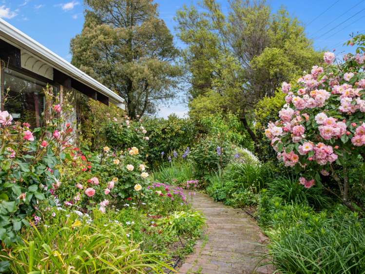 75a Alfred Street Blenheim Central_18