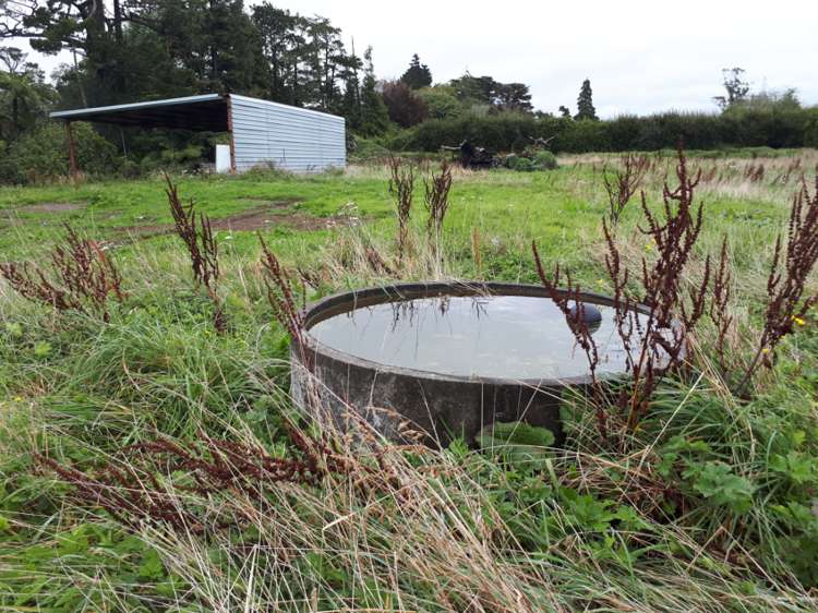 211 Surrey Road Tariki_12