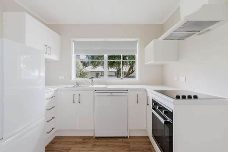 57b Aberfoyle Street Dinsdale_1