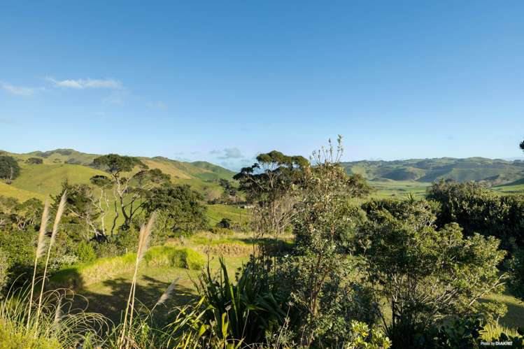 26 West Coast Road Waiuku_18