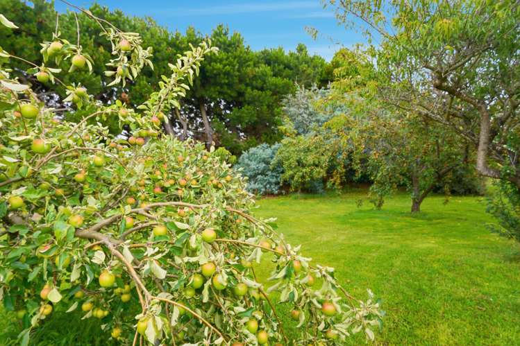 284 Racecourse Road Amberley_21