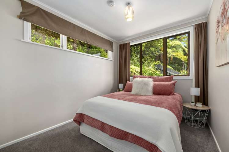 56a Akatarawa Road Brown Owl_8