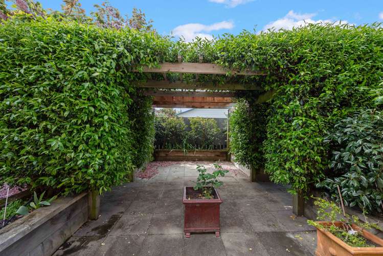 11 Roussel Place Springlands_30