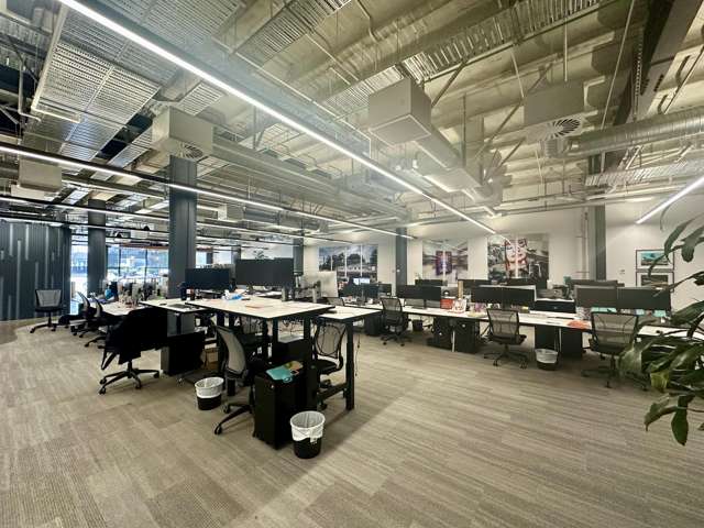 22 Pollen Street Grey Lynn_4