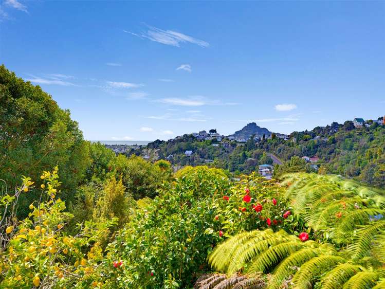 58 Windsor Drive Tairua_24
