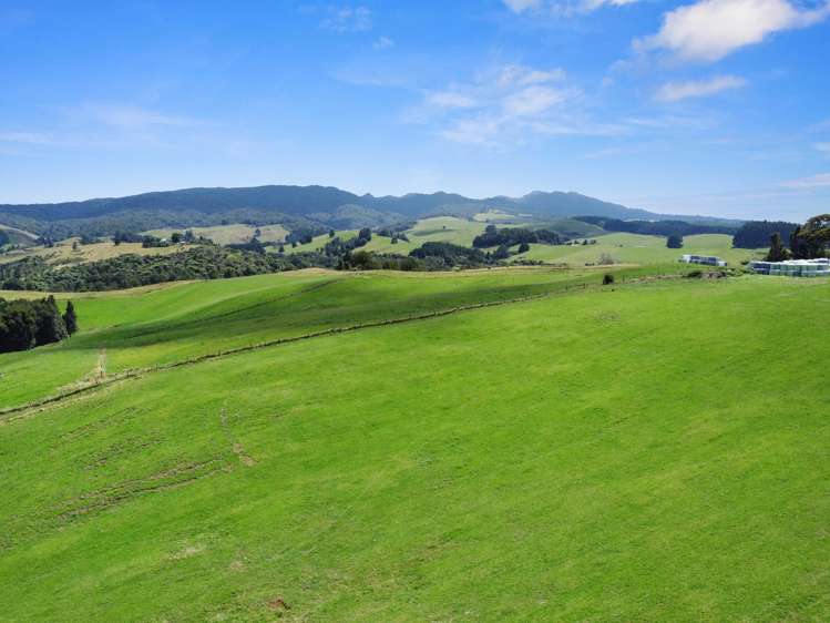 870 Mangati Road Pirongia_29