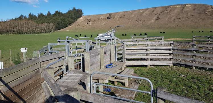 17 Esk Bank Road Otaio_11