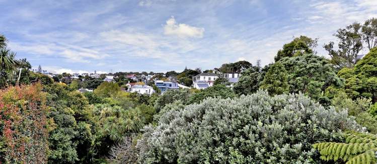 6 Scarborough Terrace Parnell_6