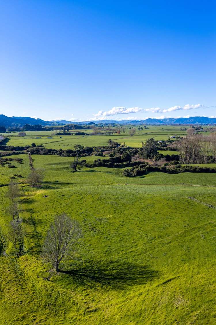 Waring Road, Taupiri Huntly_11