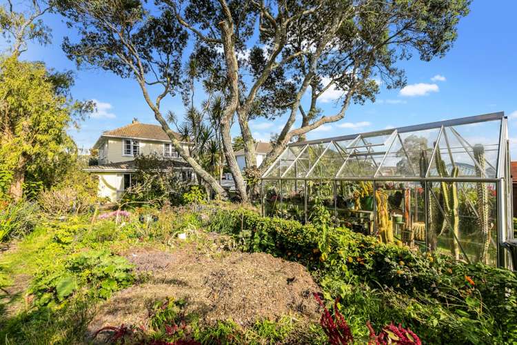 25 Fraser Road Narrow Neck_7