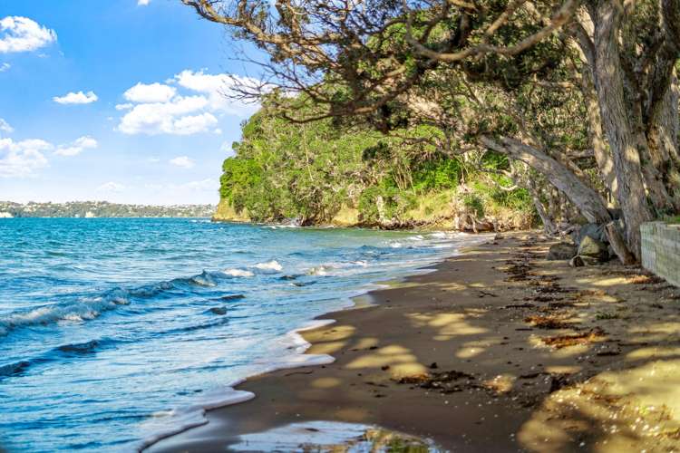 57 Buckleton Road Tawharanui Peninsula_6