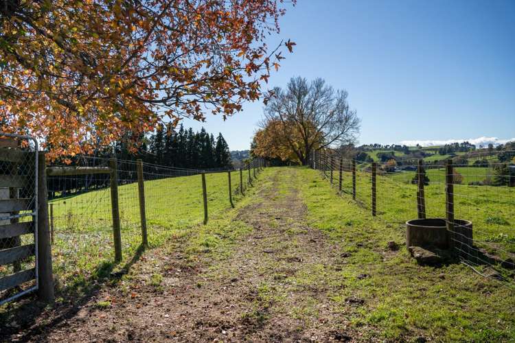 2/1873 Maungatautari Road Cambridge_10