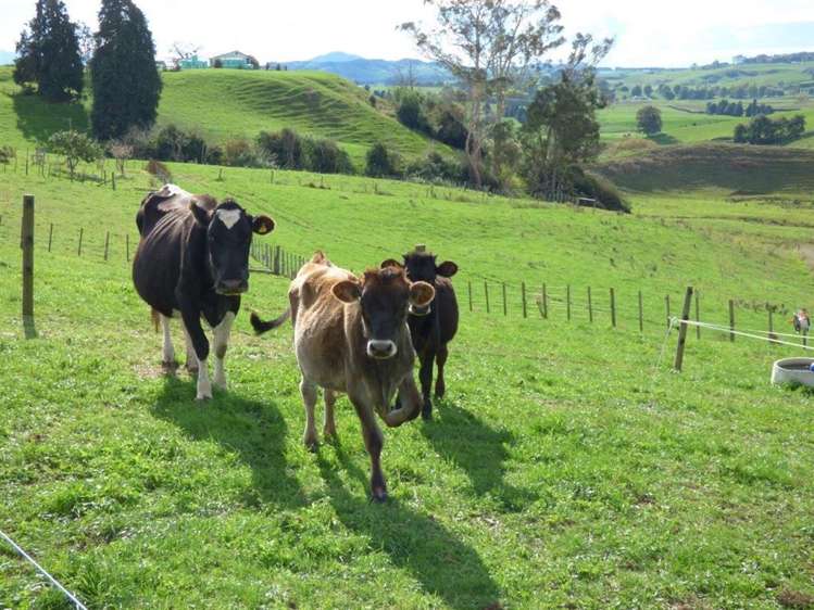 152 Sircombe Road Otorohanga_24