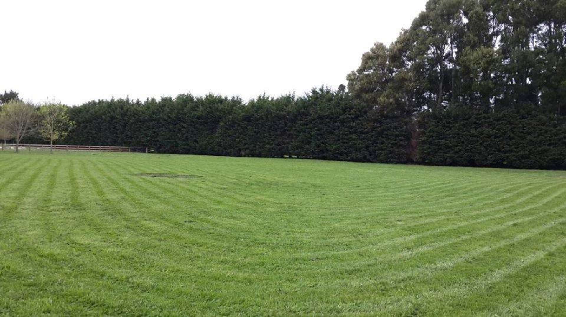 10a Brighton Grove Newstead_0